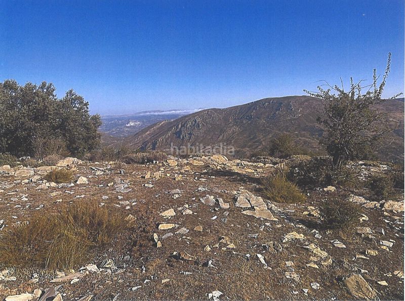 Foto 440965ca-2c59-41b2-8555-9fe49dc51845. Terreno residenziale in Güéjar Sierra