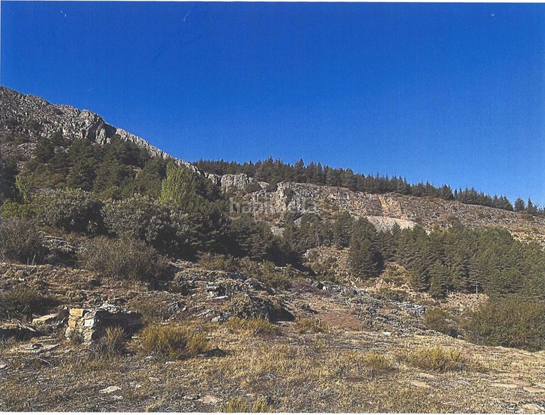 Foto 8a57d7e4-3e59-40e8-b483-afbf30cbe44c. Terreno residenziale in Güéjar Sierra