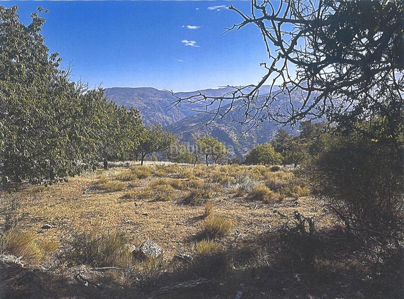 Foto 8d570728-2252-4343-846a-3afddd4fefcd. Terreno residenziale in Güéjar Sierra