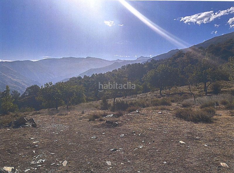 Foto c7b2b98a-6ad1-420c-824d-714ca3a85e6d. Terreno residenziale in Güéjar Sierra