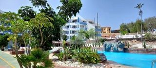 Estudi  Desconocido. Amarilla golf  investment  155.000