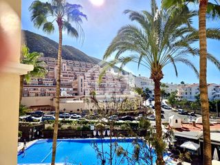 Pis  San francisco. Los cristianos  1bd  65m  250.000