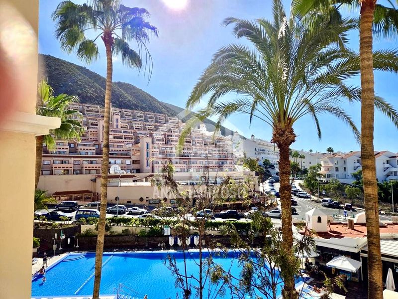 Foto 98074431-9d3e-4f2c-bb70-2e7d68822cb5. Pis a Los Cristianos Arona