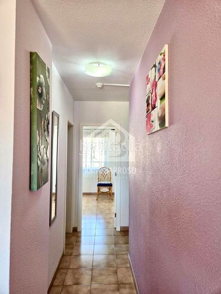Foto dd204258-b753-46e4-8889-aaa0e9b5d470. Pis a Los Cristianos Arona