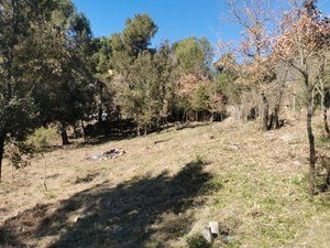 Terrain résidentiel à Avinguda joan miró 89. Terreno en zona muntanyá