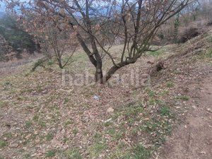 Foto 211be9f9-a300-4cb6-b06d-300c6acc1561. Terreno residenziale in carrer de collsuspina 465 in Muntanyola