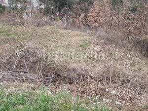 Foto 73f3d31b-a6c4-4d72-97f5-c8b2ef4f5236. Terreno residenziale in carrer de collsuspina 465 in Muntanyola