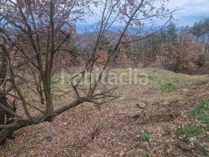 Foto ff41901e-5a7f-408a-9113-14678cb9f725. Terreno residenziale in carrer de collsuspina 465 in Muntanyola
