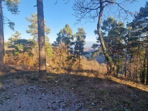 Terreny residencial a Diseminado Rust Muntanyola 27