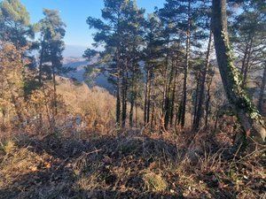Terreno residenziale in Diseminado rust muntanyola 27. Terreny al carrer estany de muntanyola
