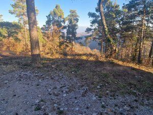 Terreny residencial a Diseminado rust muntanyola 27. Terreny al carrer estany de muntanyola