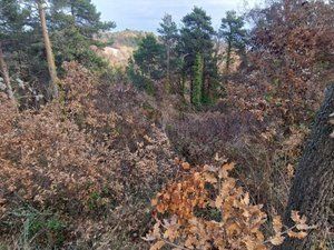 Terreny residencial a Carrer Fontanelles 374