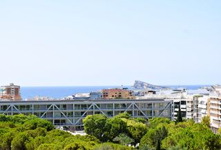 Pis a Calle Primavera 12