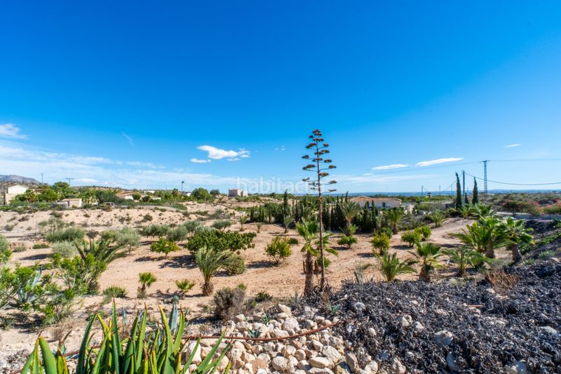 Foto 3605c857-74d9-4305-b5a5-ee0d45e8aa75. Casa amb calefacció aparcament piscina a Albatera