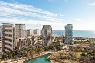 Pis a Carrer de Llull