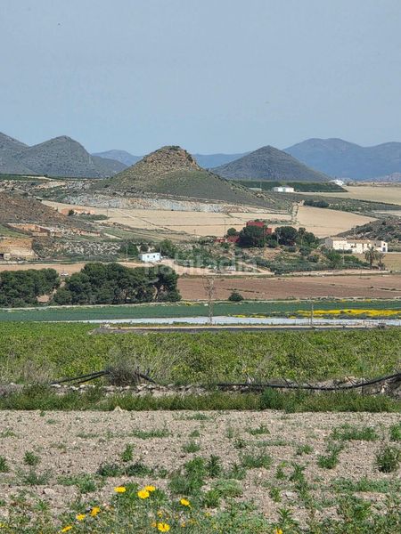 Foto 73574ce7-631a-4d86-a168-9b124470c5a3. Finca rústica a Pozo Higuera Lorca