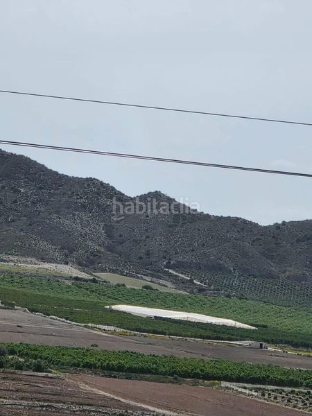 Foto b17f6d0c-7790-410e-a246-e6919a4da865. Finca rústica a Pozo Higuera Lorca