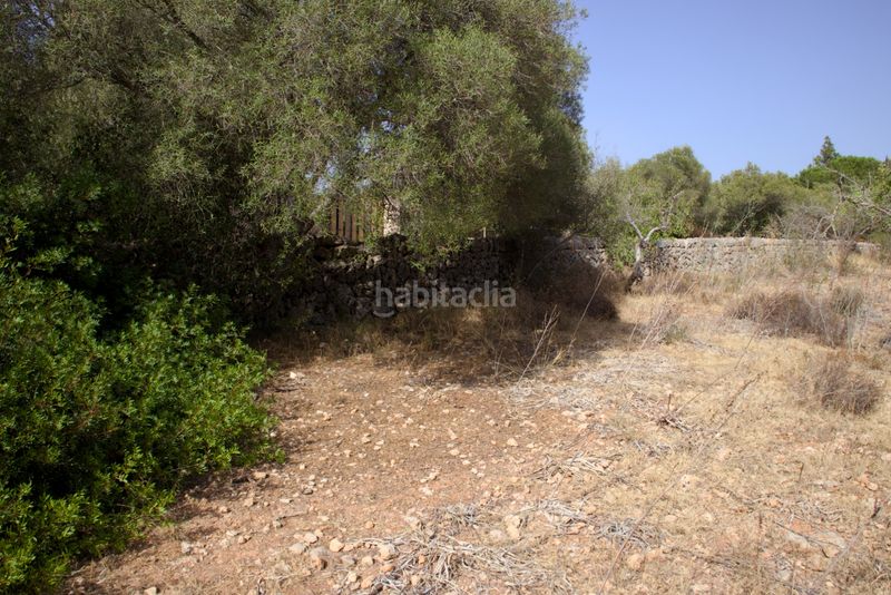 Foto 5972579a-be8c-4459-b291-b1107d103b20. Terreny residencial a Sa Cabaneta Marratxí