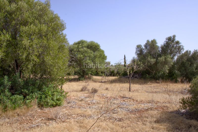 Foto cecf1f7a-850c-4829-ba7a-554eec974b09. Terreny residencial a Sa Cabaneta Marratxí