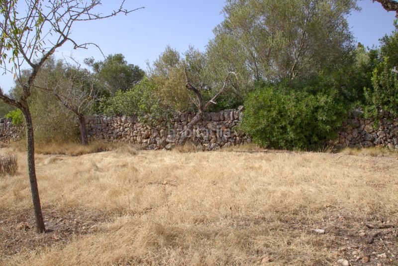 Foto eec118b9-3332-4bec-92ee-9f2c9d618d03. Terreny residencial a Sa Cabaneta Marratxí