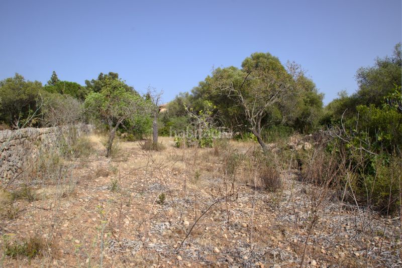 Foto 66531716-ed89-43ec-a171-d9406944739a. Terreny residencial a Sa Cabaneta Marratxí