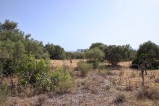 Terreno residenziale  Travessia can domingo n.4