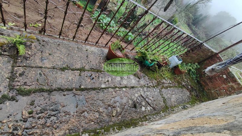 Foto 45c35885-8cf8-43a5-a239-6dbf3ef421ca. Casa en Cartelle