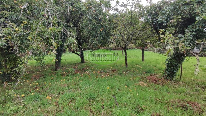 Foto 89a6519c-c16e-4fc5-bcc6-9a6a7e299241. Casa a Quintela de Leirado