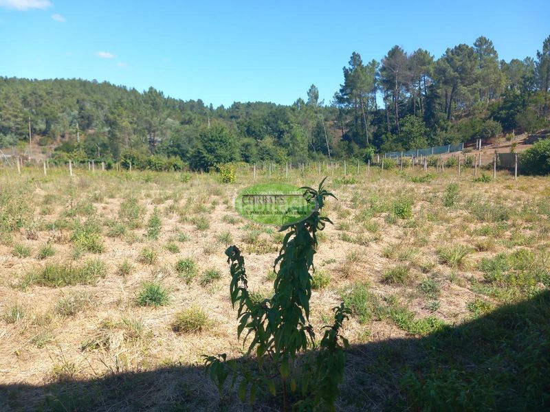 Foto 26be754b-a13d-4736-9f46-cc6fdadf4602. Casa a Toén