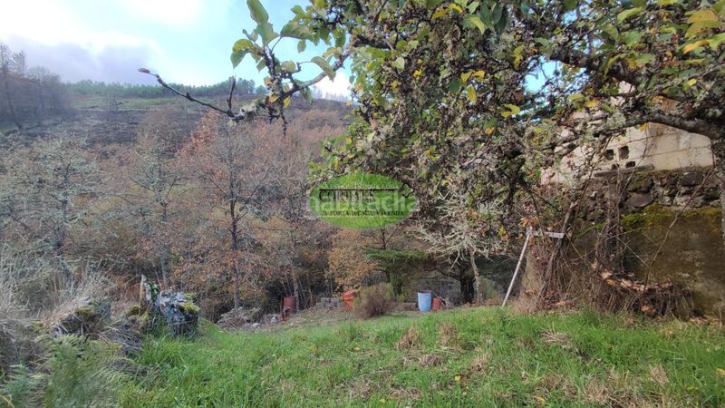 Foto 72b76d70-9f14-4274-aedc-f37d5e98793c. Casa amb aparcament a Cualedro