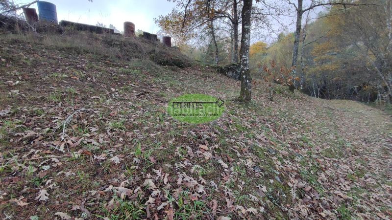 Foto c1f64c08-8587-4207-8ce0-5ac8b2dfc628. Casa amb aparcament a Cualedro