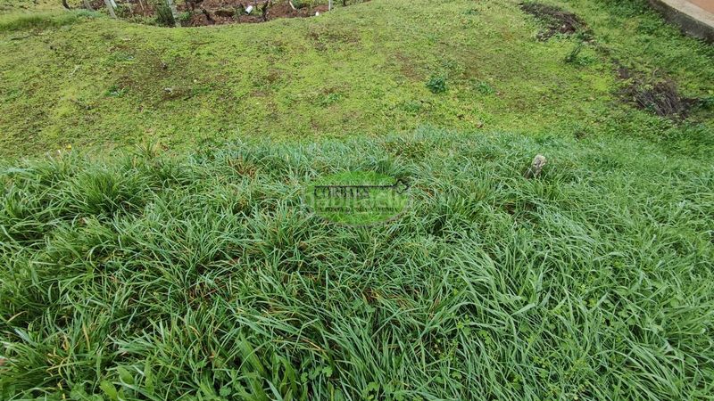 Foto d8b8acf5-9dd8-4677-b6e3-057b41548edd. Casa en Cortegada