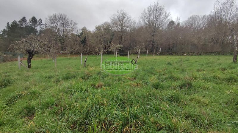 Foto e59023a6-8d1c-4d7b-8ffa-d4ec234a3ba3. Casa en Maside