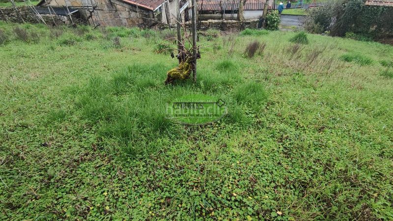 Foto b62a1e25-2ffa-4258-82ae-d158a1262edc. Maison dans Maside