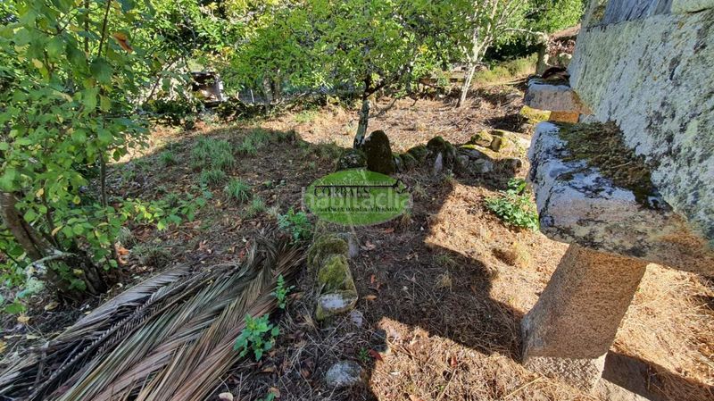 Foto cf4b09a4-4c70-46ca-b59b-0f3ba0354a2f. Maison dans Amoeiro