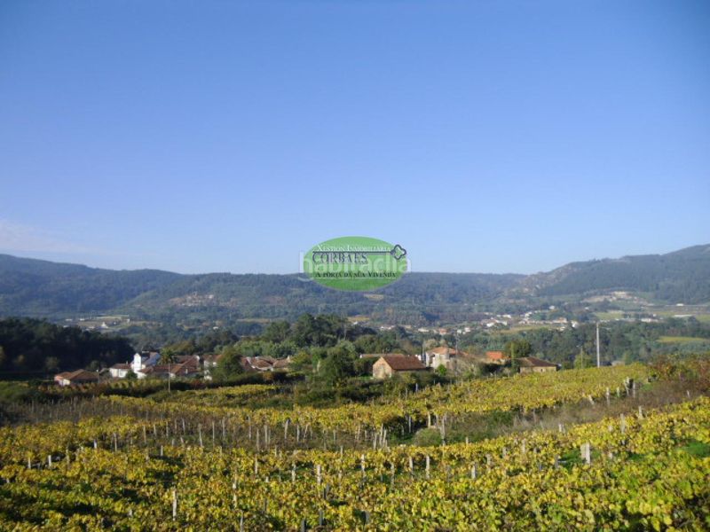 Foto 3bf33c9a-3ae8-4fad-afcf-941be912ca58. Casa a Ribadavia