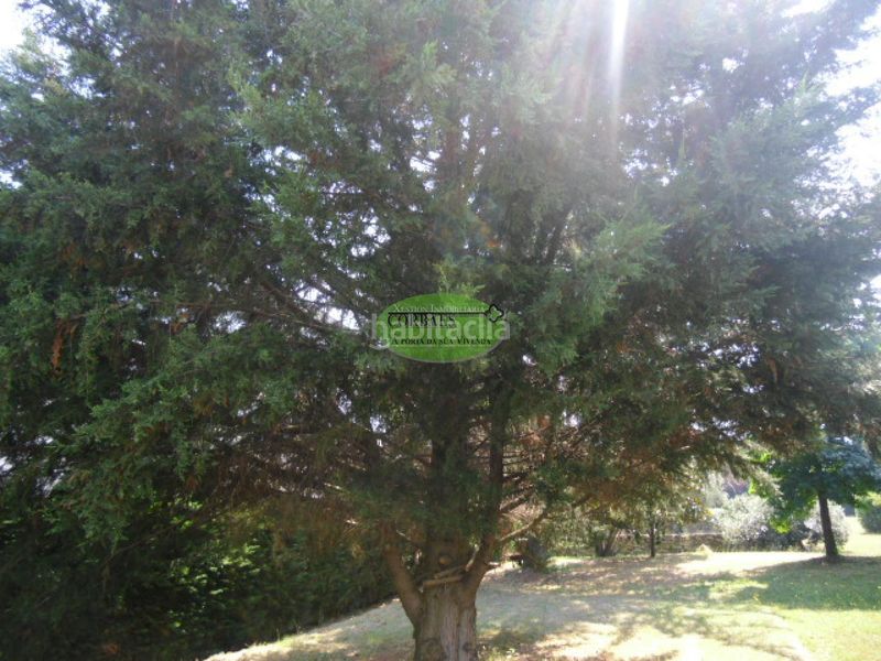 Foto 6719f78a-39bf-4baa-8737-c4f7b39fa4d5. Casa amb calefacció aparcament a As Lagoas Ourense