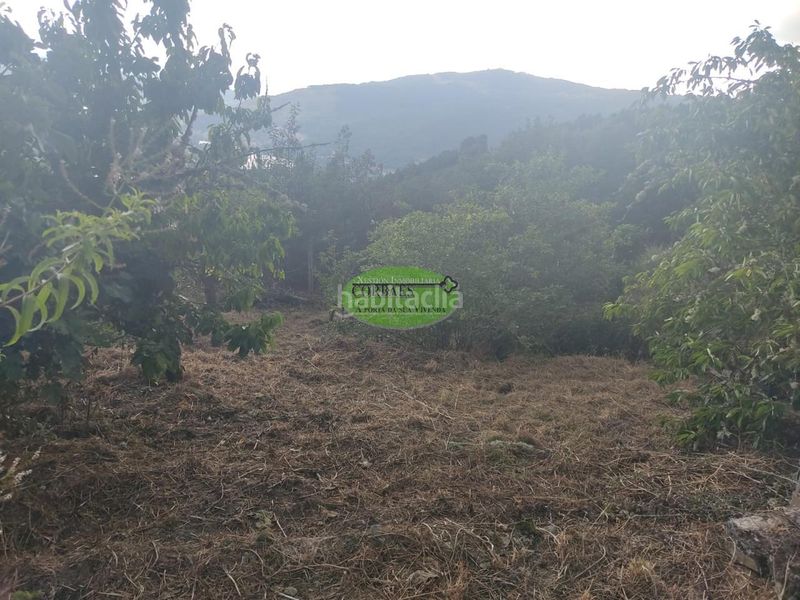 Foto c225247c-12be-4ea9-bb83-02588726c985. Casa en Amoeiro