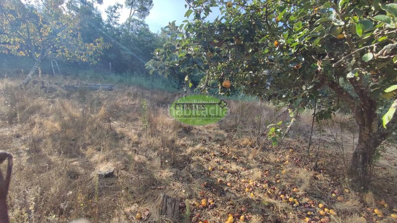 Foto 800ec0b4-ccca-4c63-ae0e-ce2250f60a60. Casa amb calefacció aparcament a Ribadavia