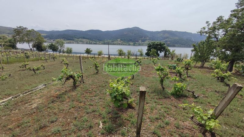 Foto 12be3b6b-0360-4af4-b4f3-b31eb2d45ce3. Casa amb calefacció aparcament a Ribadavia