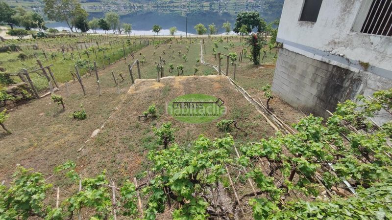 Foto 6fe49344-a8d7-483e-85b0-ca04daae0727. Casa amb calefacció aparcament a Ribadavia