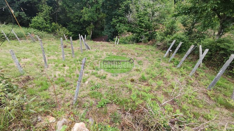 Foto df5b5c9a-aef8-485a-bb47-344d45b6eac8. Maison dans Cortegada