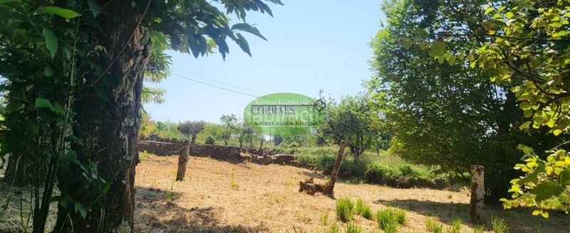 Foto 437b0d0b-c4b5-49f4-9e7c-d2ab9708c034. Casa amb calefacció a San Cristovo de Cea