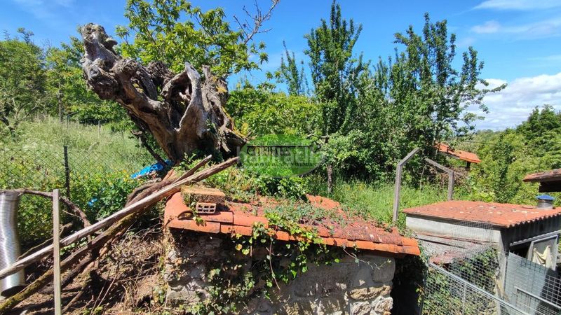 Foto e3efb60e-d4b9-47bb-900f-5b1faa013cd5. Casa amb aparcament a Nogueira de Ramuín