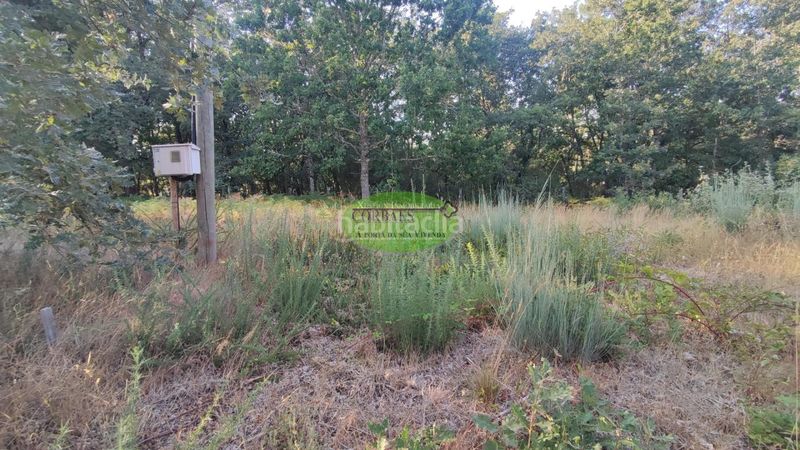 Foto 6f43f62d-1b53-49f9-b1ee-486a55502030. Terreny residencial a Carballiño (O)