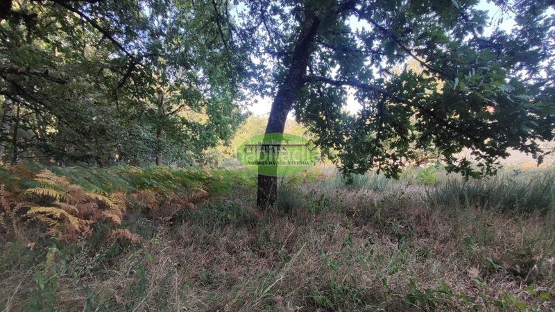 Foto 96c6a56f-3aef-46b0-b76a-607dd66758d6. Terreny residencial a Carballiño (O)