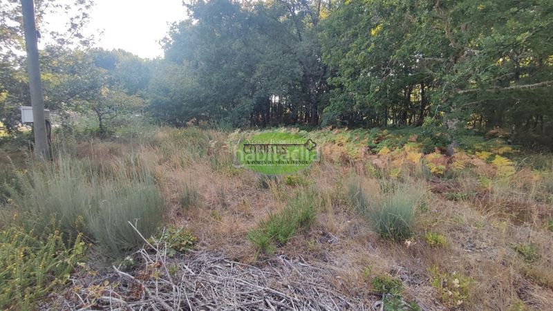 Foto 0e00c573-64b6-4e3e-a137-ceae1e5588ed. Residential plot in Carballiño (O)