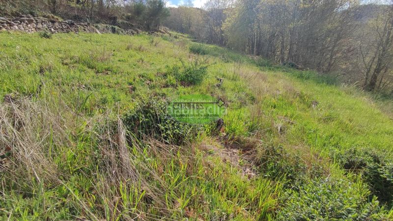 Foto 32bd6d15-c38f-4c51-8c0e-60b8f7b94a05. Casa en Pantón