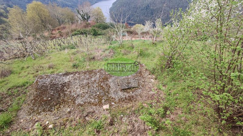 Foto 3abf7ea1-a8be-4e87-bf7c-27291f870cf9. Casa en Pantón