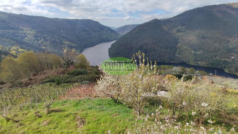 Foto 5d39ba9e-efb6-4055-be60-fc00b2096a7b. Casa en Pantón